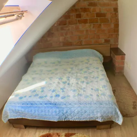 Miracolo * Bistriţa